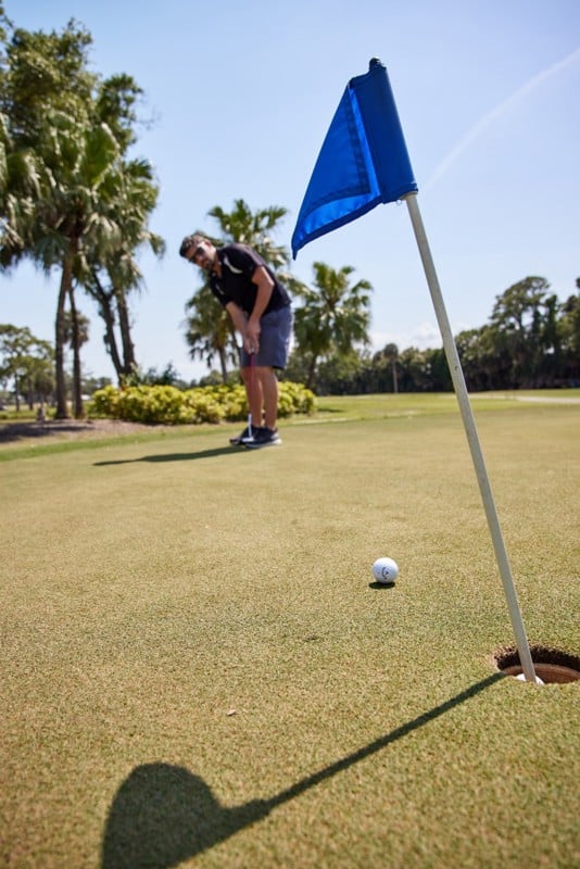 A person putts a golf ball on a green; the ball is near the hole with a blue flag, palm trees and clear sky in the background.