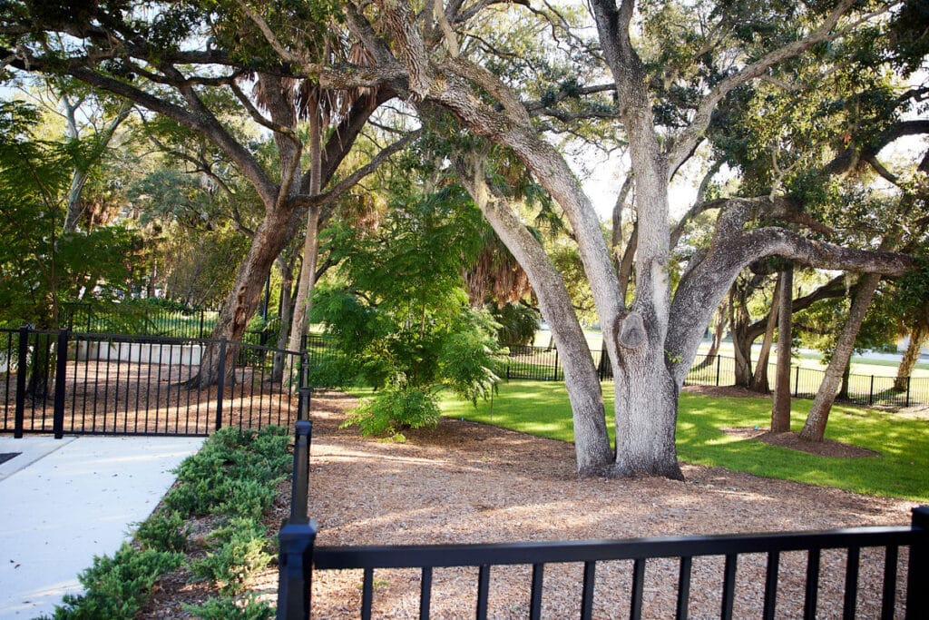 A shaded outdoor area with large mature trees, green grass, mulch, and black metal fencing beside a concrete walkway.